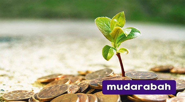 The Mudarabah Islamic Model For Investors