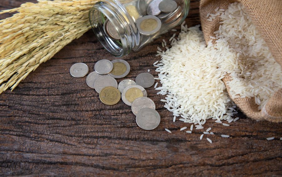 Zakat Al Fitr – The Basics